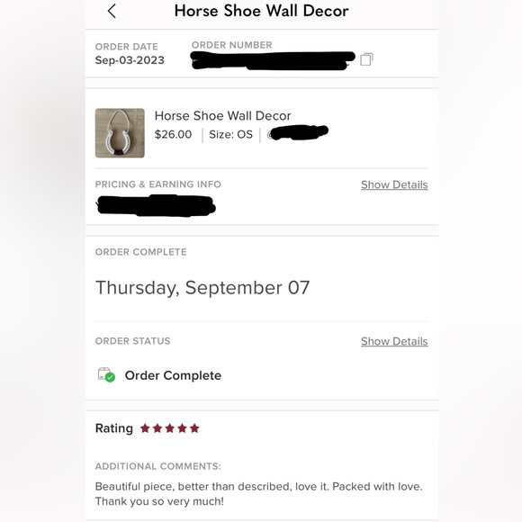 NEW💕 Fringe Horseshoe Decor - Picture 4 of 4